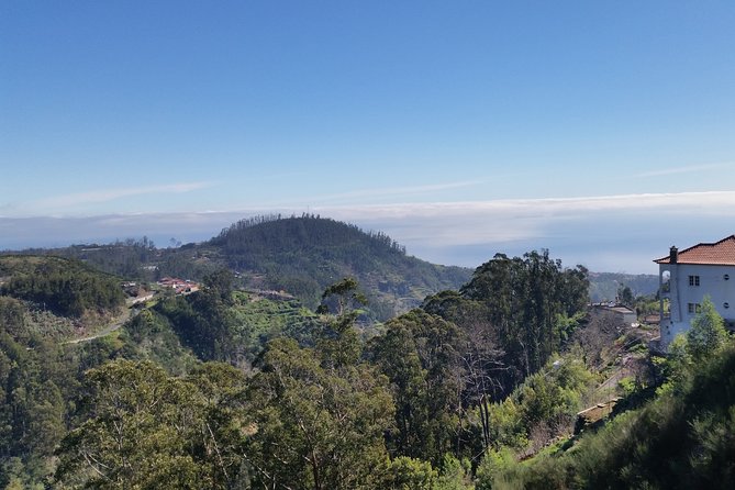 Half-Day Paradise Valley Walking Tour - The levada-style walking segment and why it feels easy