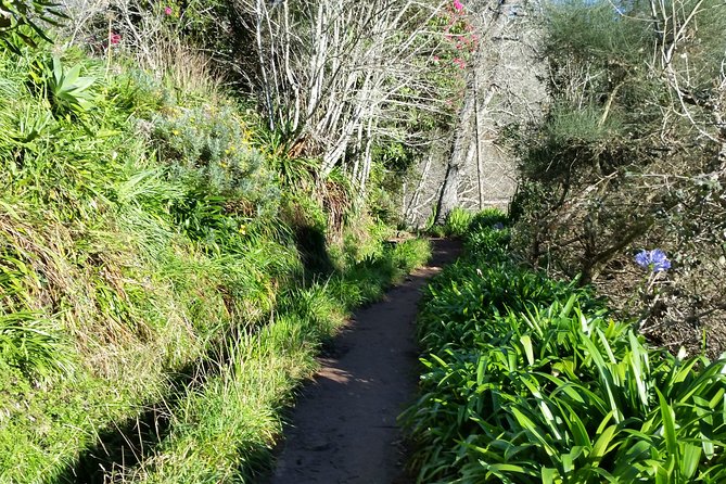 Half-Day Paradise Valley Walking Tour - Weather, timing, and small tips for a smoother two hours