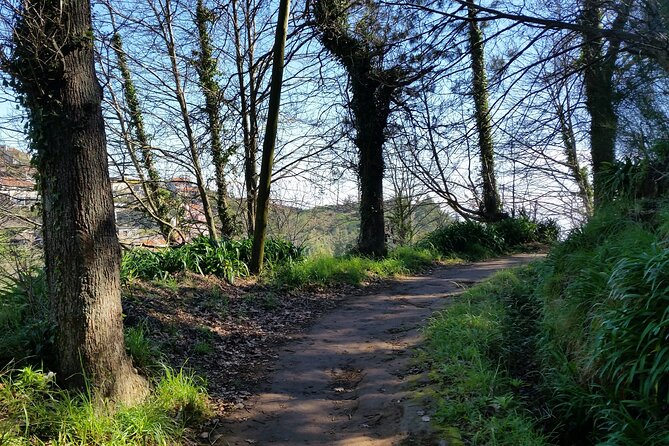 Half-Day Paradise Valley Walking Tour - The 9:00 am pickup and meeting points that keep you on track