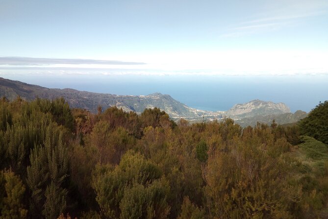 Half-Day Private Sidecar Tour on Madeira’s West Coast - Who this tour is best for (and who should think twice)
