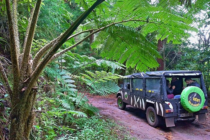 Half-Day Small-Group Madeira Village Safari from Funchal - Key Points You’ll Care About