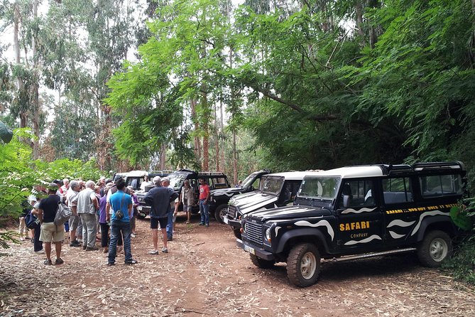 Half-Day Small-Group Madeira Village Safari from Funchal - The Driver-Guide Factor: What Makes It Feel Local