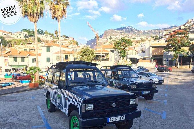 Half-Day Small-Group Madeira Village Safari from Funchal - Getting Pickup and Timing Right in Funchal