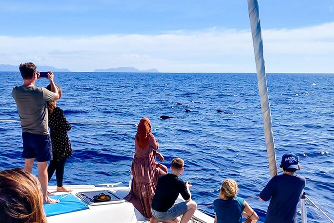 Half Day Tour on a Luxury Catamaran on Madeira Island - Price and Value: Is $48.06 Worth It?