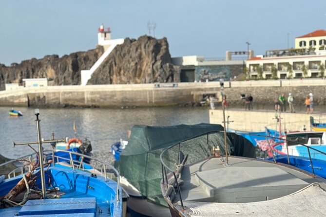Half Day Tour with Madeira Wine Tasting - Câmara de Lobos: Lobos Bay, Fishing Boats, and a Painter’s Connection