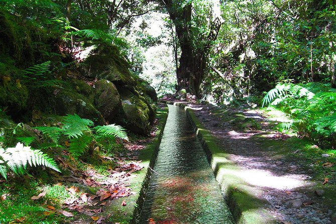 Hidden Corners: Levada Walk from Funchal - Key points before you go