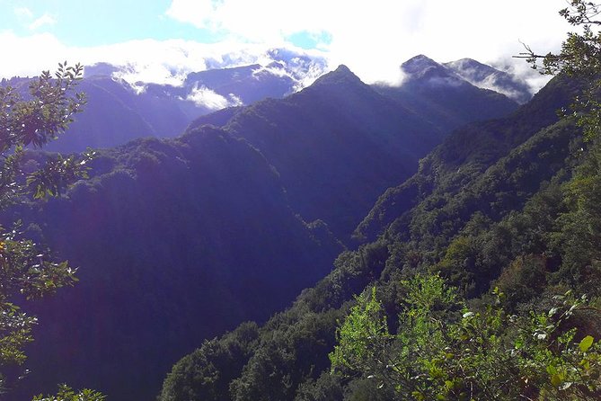Hidden Corners: Levada Walk from Funchal - Why the Levada Do Rei feels like Madeira’s quieter side