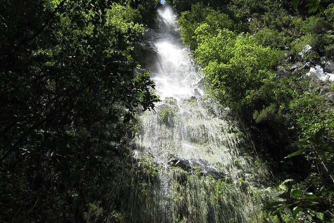Hidden Corners: Levada Walk from Funchal - The walk itself: 10 km of levada path, 8 miles of canal following