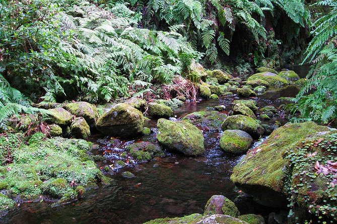 Hidden Corners: Levada Walk from Funchal - Food rules, weather reality, and your practical packing checklist