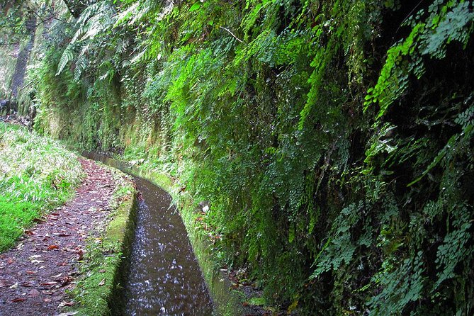Hidden Corners: Levada Walk from Funchal - Price and value: what $51.61 buys in a guided day