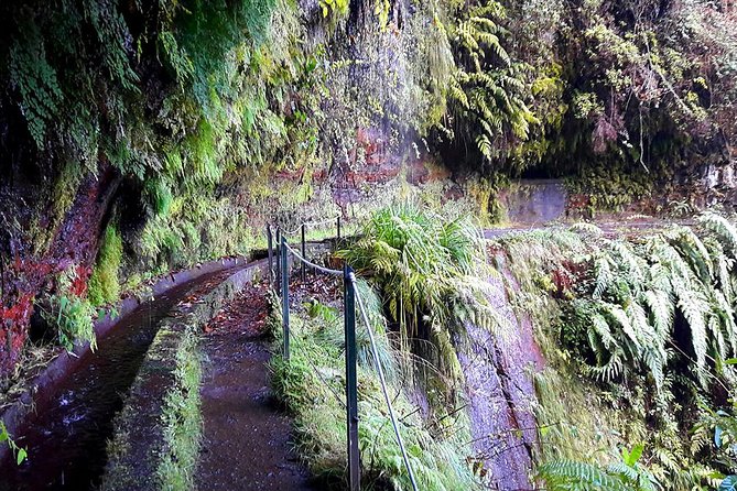 Hidden Corners: Levada Walk from Funchal - Who this Levada Walk is best for