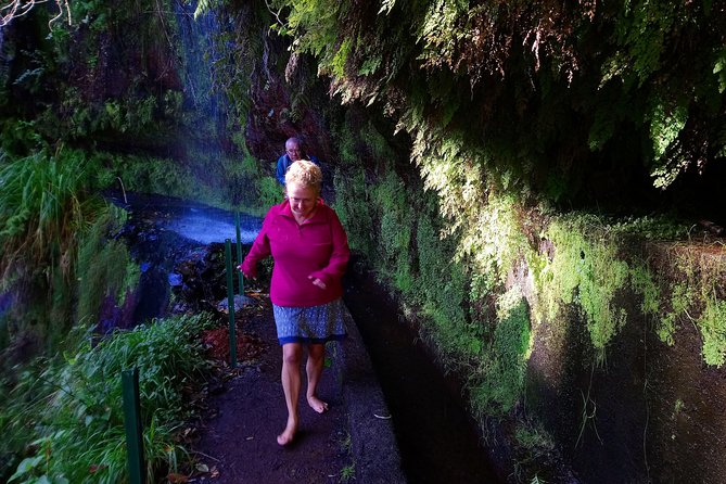Hike in Laurisilva Levada do Rei - Madre of Life small Group guided walk - Key points before you go