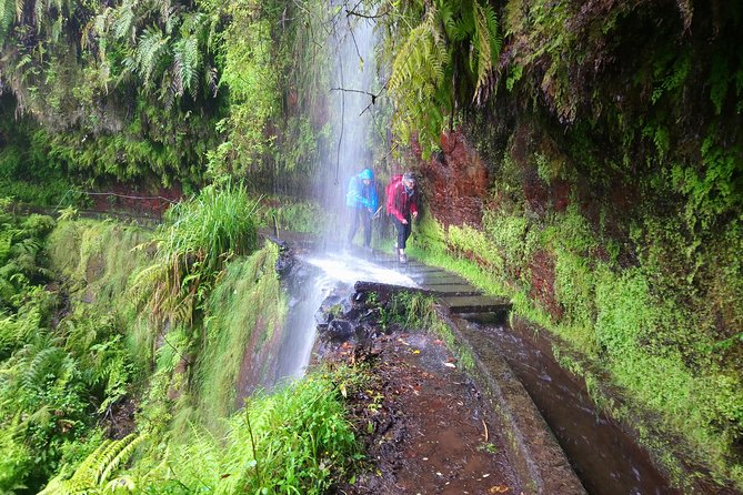 Hike in Laurisilva Levada do Rei - Madre of Life small Group guided walk - Levada do Rei in Madeira’s Laurisilva, and why this walk feels good