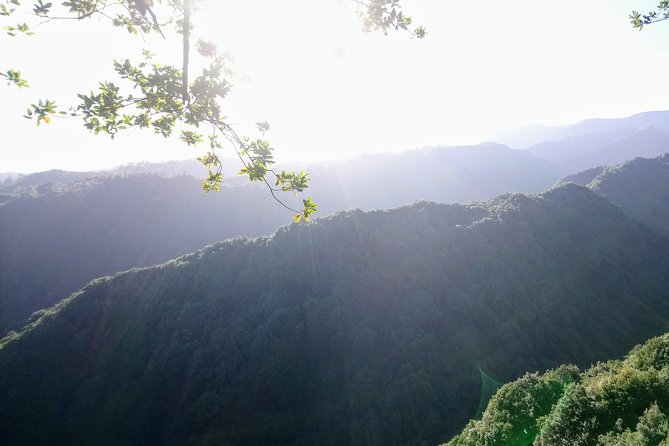 Hike in Laurisilva Levada do Rei - Madre of Life small Group guided walk - Pickup in Funchal or Caniço: the quiet convenience that adds up