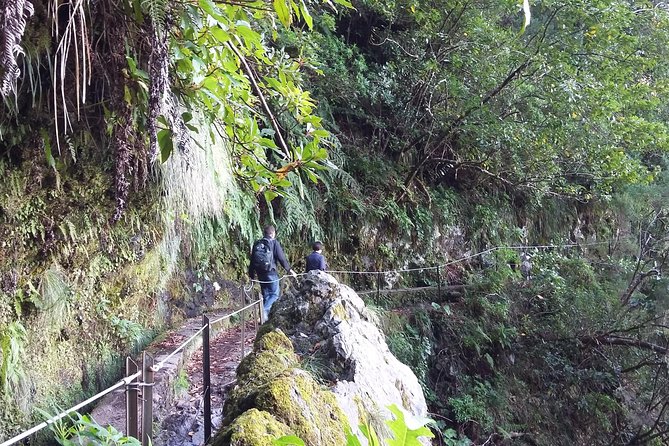 Hike in Laurisilva Levada do Rei - Madre of Life small Group guided walk - The day’s core is the 4-hour Levada do Rei walk