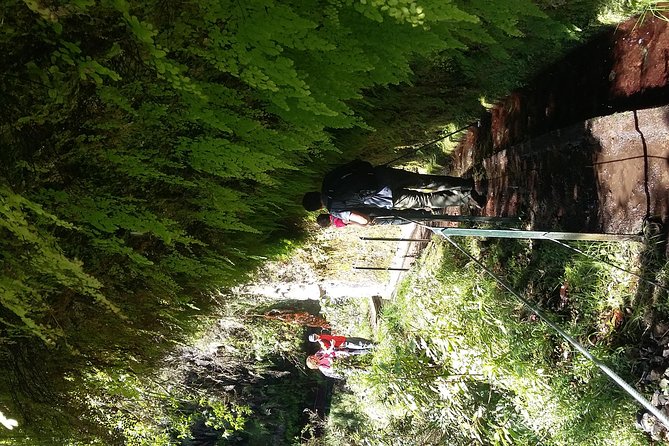 Hike in Laurisilva Levada do Rei - Madre of Life small Group guided walk - Food and drinks not included, so plan your energy
