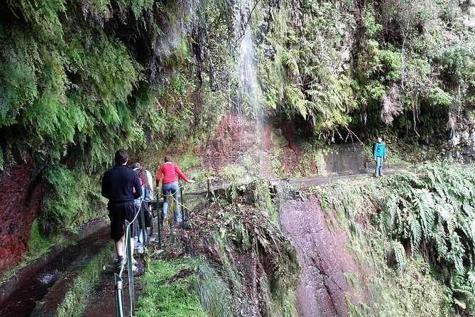 Hike in Laurisilva Levada do Rei - Madre of Life small Group guided walk - Weather rules: it runs in all weather, but you should dress right