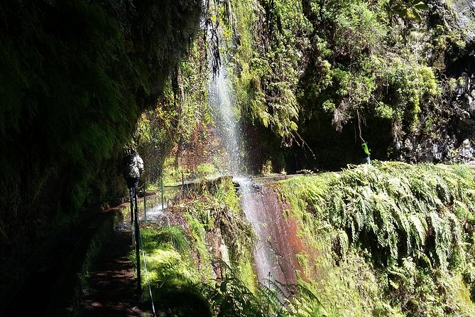 Hike in Laurisilva Levada do Rei - Madre of Life small Group guided walk - A small-group hike with a mountain guide, not a shuffle