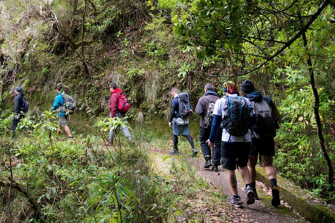 Hiking and Trekking tours in Madeira - Key Highlights You’ll Care About