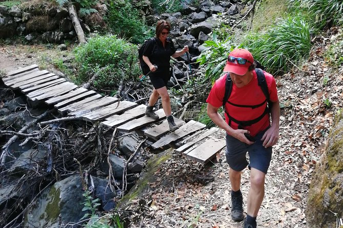 Hiking and Trekking tours in Madeira - Volcanic Scenery, Forest Passages, and Photo Timing