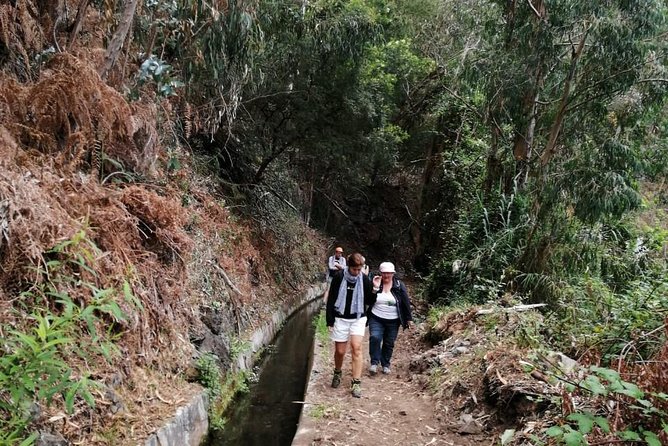 Hiking and Trekking tours in Madeira - Pricing and Group Discounts: Is It Worth $120.02?