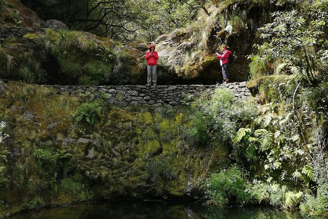 Hiking and Trekking tours in Madeira - Booking Smart: Weather, Confirmation, and Timing