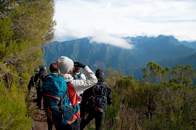 Hiking and Trekking tours in Madeira - Jorge’s Nature Talk and Why Small Groups Matter