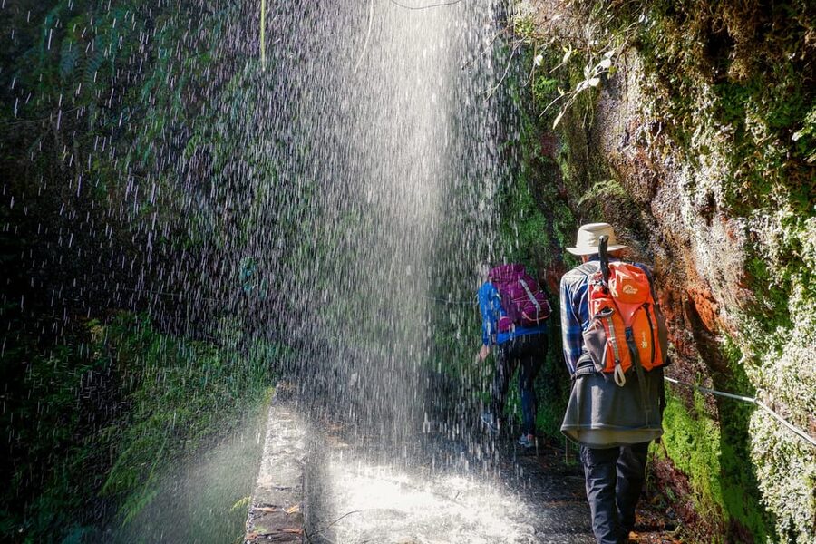 Hiking Madeira: Levada do Rei and the Majestic Laurissilva - Key things to know before you go