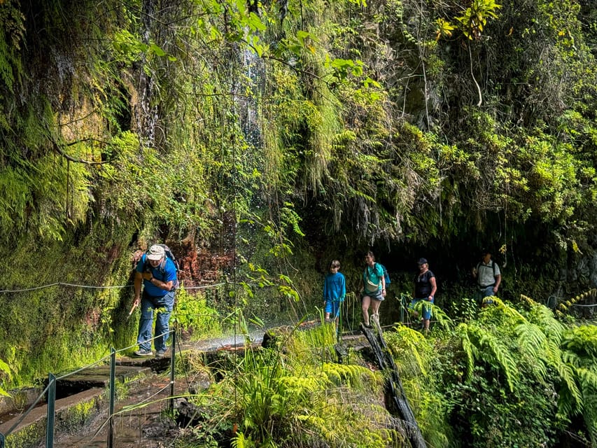 Hiking Madeira: Levada do Rei and the Majestic Laurissilva - The waterfall, the Ribeiro Bonito end, and why the turnaround matters