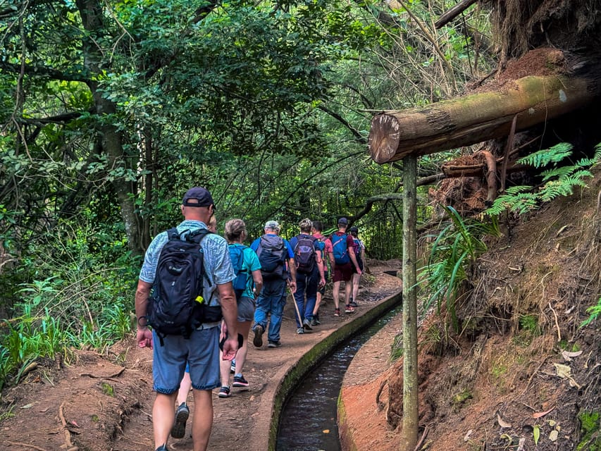 Hiking Madeira: Levada do Rei and the Majestic Laurissilva - Weather, Penha d’Aguia, and Porto Santo views you might catch