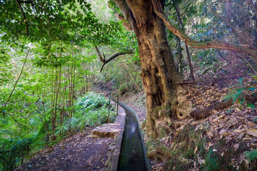 Hiking Madeira: Levada do Rei and the Majestic Laurissilva - Who should choose this hike, and who should skip it