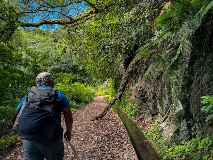 Hiking Madeira: Levada do Rei and the Majestic Laurissilva - Levada do Rei: historic trail, gentle elevation, and serious plant details