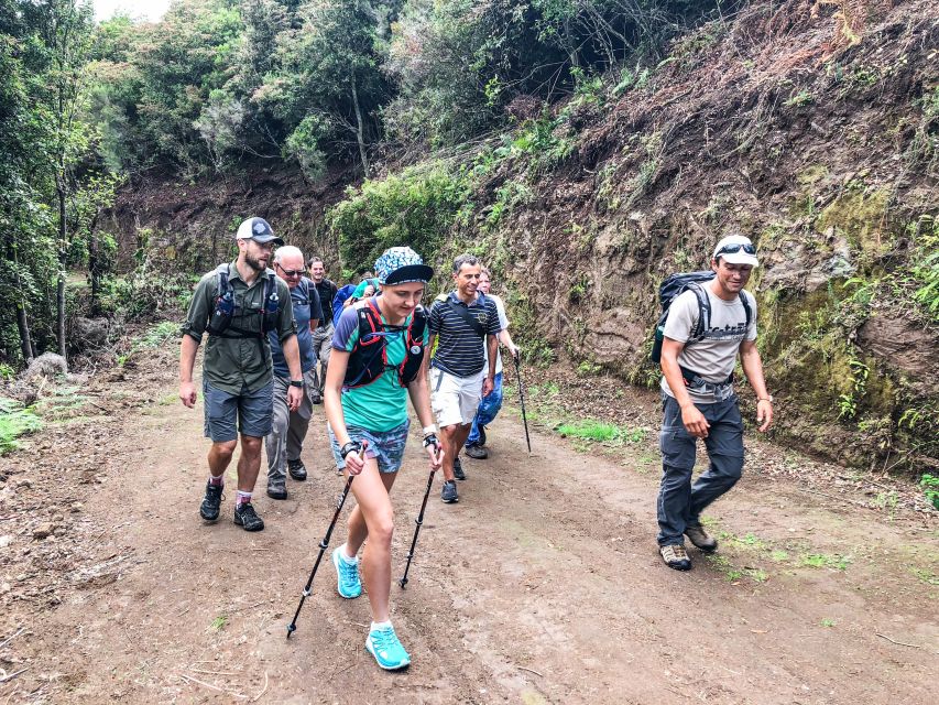 Hiking Trip with a Local - Key highlights you’ll feel on the trail