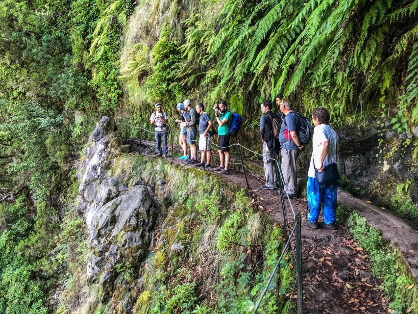 Hiking Trip with a Local - A private Madeira hike that starts at your door