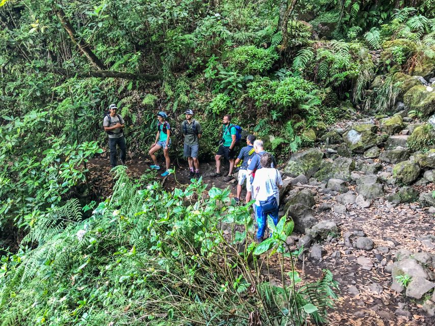 Hiking Trip with a Local - Trail by trail: what each route feels like