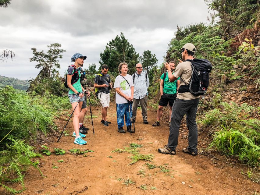 Hiking Trip with a Local - Why this $76 per person tour is good value