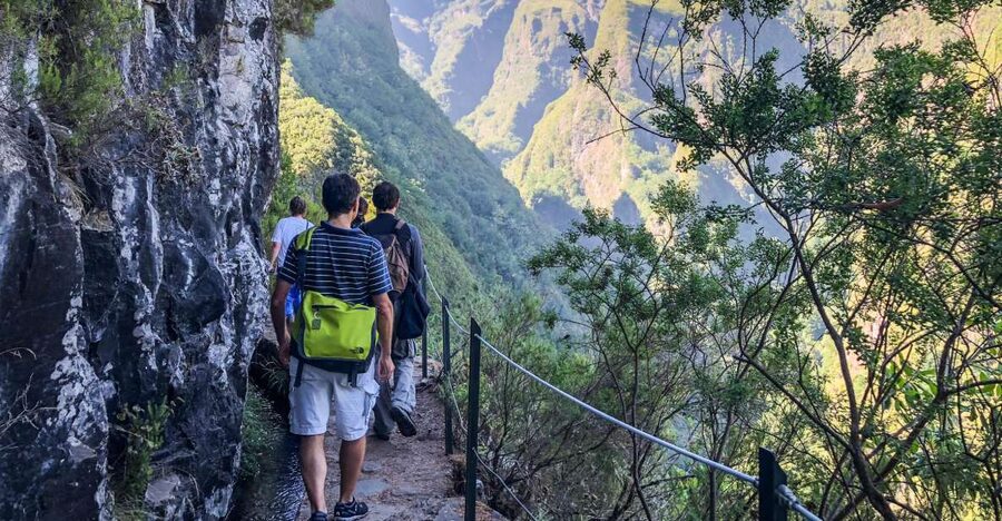 Hiking Trip with a Local - Picking your day in Madeira: forest, levadas, waterfalls, and coast