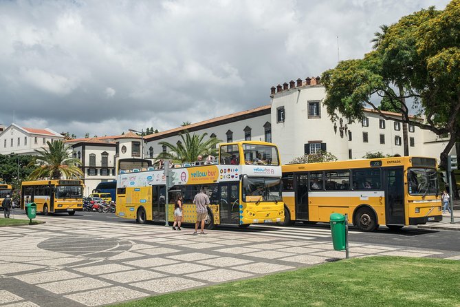 Hop-on Hop-off Bus Tour and Catamaran Whale & Dolphin Watching - Who this works best for