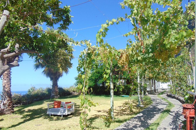 Incredible tour to a 'Faja' with a story - The terrace restaurant: fresh fish, local organic produce, and why booking matters