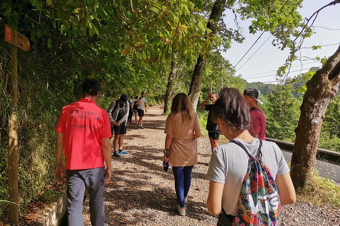 Jeep Safari in Pico Areeiro Santana Faial Full Day Tour - Key Highlights You Should Know Before You Go