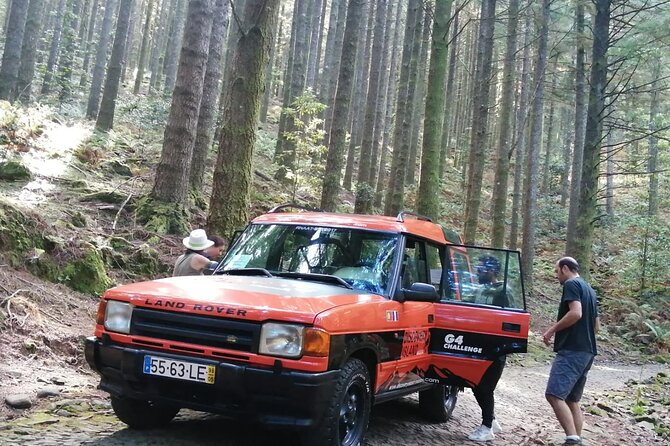Jeep Safari in Pico Areeiro Santana Faial Full Day Tour - Ribeiro Frio to Balcões: Forest Air and Mountain Viewpoints