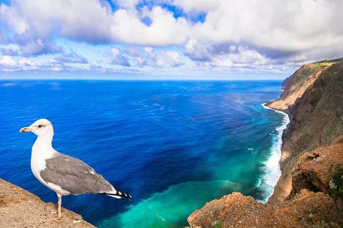 Jeep Safari in Southwest, Calheta and Ponta do Sol Full Day Tour - Who Should Book This Jeep Day Trip
