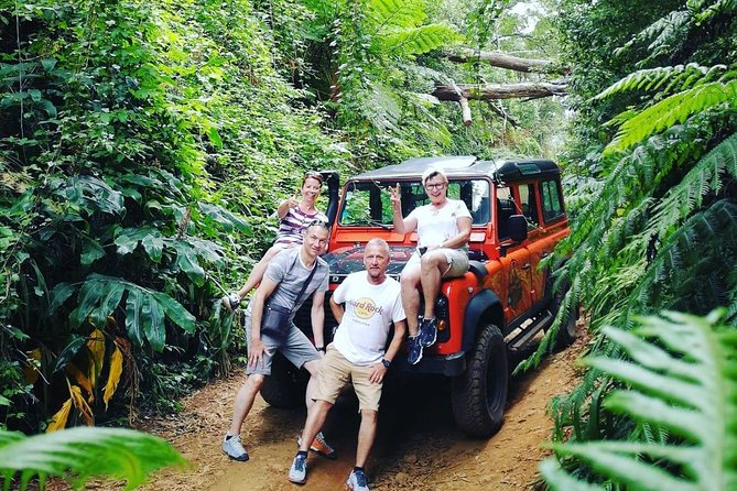 Jeep Tour Amazing West to Natural Pools -Full-Day - Pickup Smoothness: Starting in Funchal Without Wasted Time