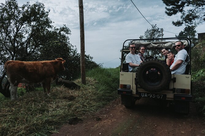 Jeep Tour To ,(Skywalk, Seixal, Porto Moniz, Fanal) - What $78.02 buys you on this small jeep day
