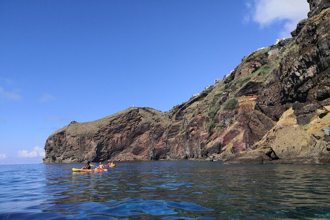 Kayak and Snorkeling Tour in Underwater Nature Reserve Garajau - What marine life you can expect in Garajau