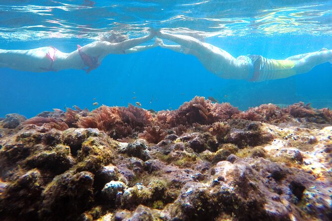 Kayak and Snorkeling Tour in Underwater Nature Reserve Garajau - Safety, currents, and how the guides manage the group