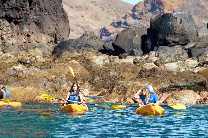 Kayak Experience @ Ponta de São Lourenço - Should you book this Ponta de São Lourenço kayak experience?