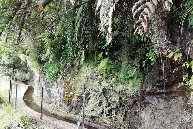 Kings Levada - São Jorge - Weather and timing: how to set yourself up for a smooth day
