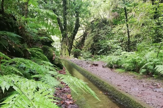 Kings Levada - São Jorge - The route, pacing, and your lunch break