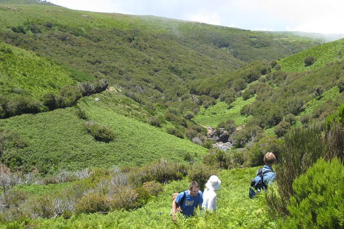 Lakes of Madeira- Alecrim Full day walk - Levada do Alecrim, and why this walk feels so different